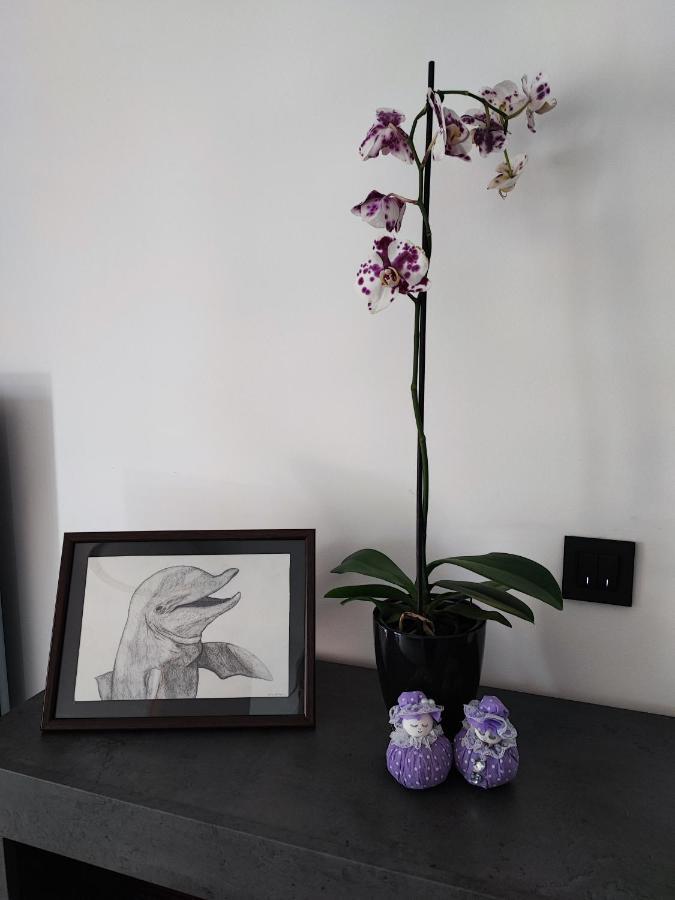 Bellavista Apartment