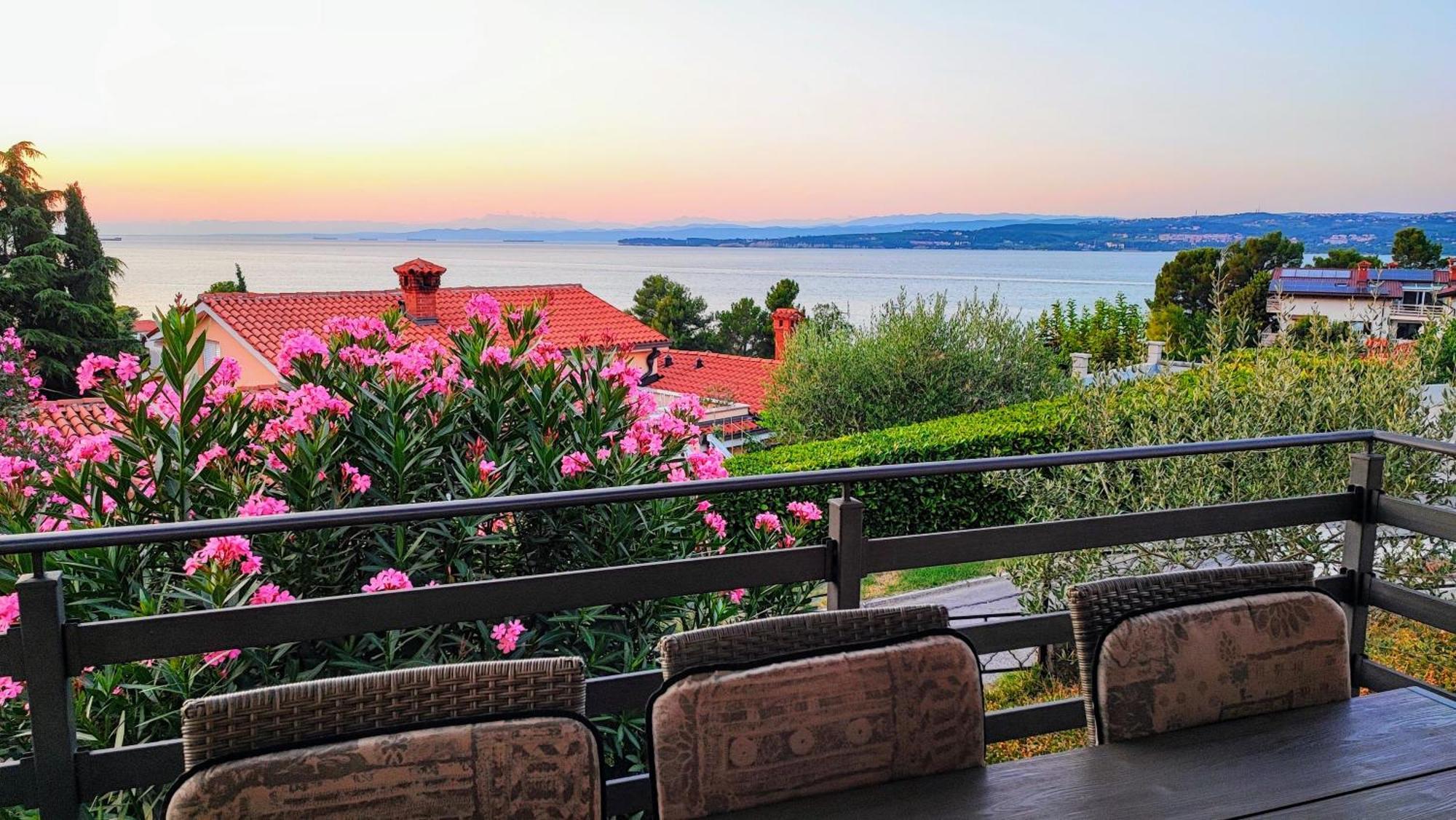 Bellavista Koper